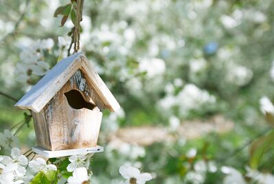 a wooden birdhouse in spring 